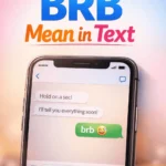 BRB Mean in Text (1)