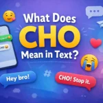 What Does CHO Mean in Text