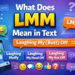 What Does LMM Mean in Text