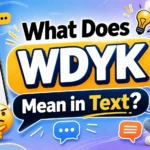 What Does WDYK Mean in Text